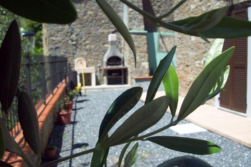 Villa Il Nido Delle Rondini Testico Exterior foto